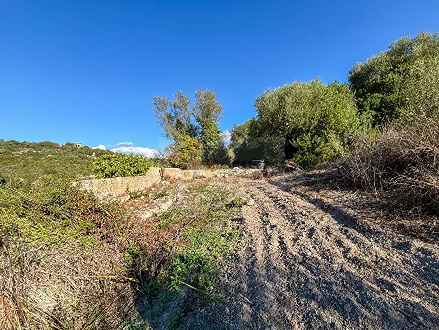 Immagine 13 di Terreno agricolo in vendita  in Monti di Mannu a Sassari