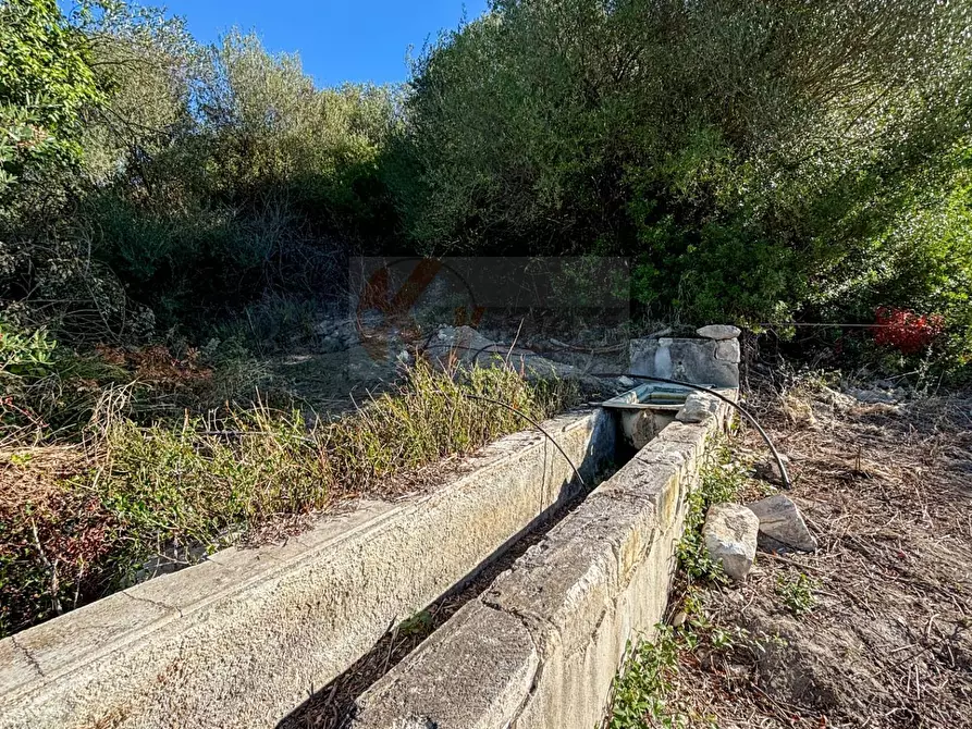Immagine 14 di Terreno agricolo in vendita  in Monti di Mannu a Sassari