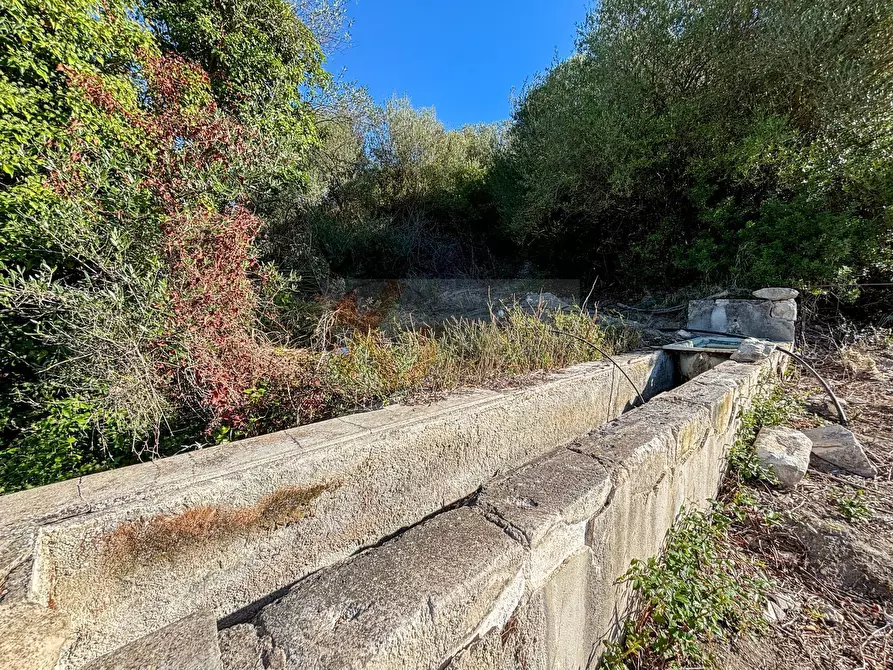 Immagine 15 di Terreno agricolo in vendita  in Monti di Mannu a Sassari