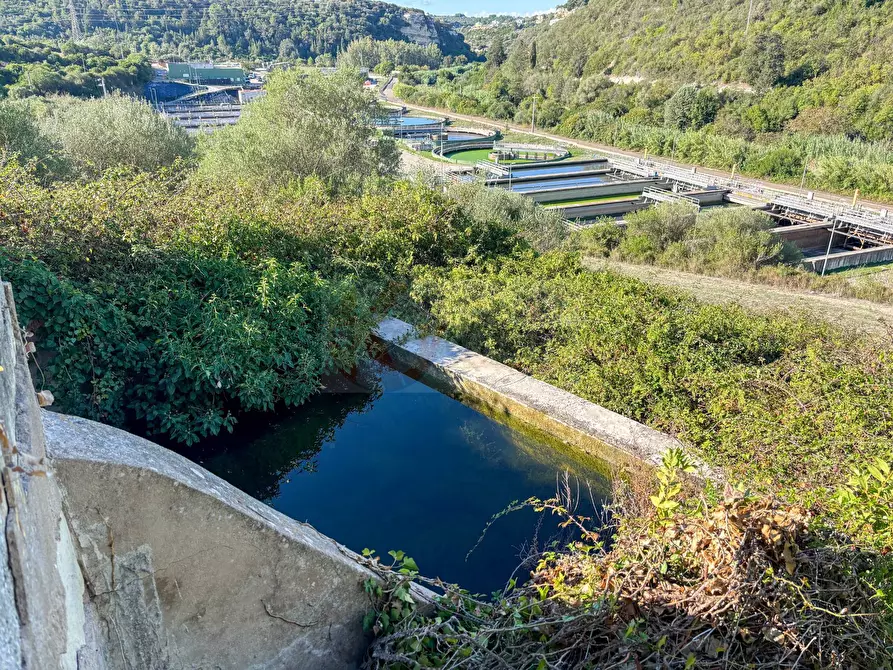 Immagine 16 di Terreno agricolo in vendita  in Monti di Mannu a Sassari