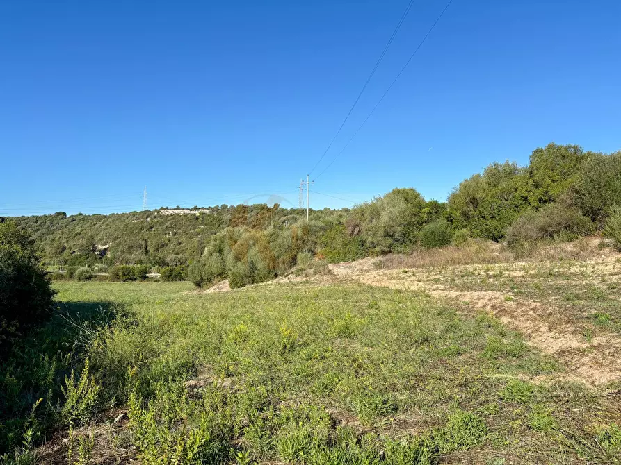 Immagine 18 di Terreno agricolo in vendita  in Monti di Mannu a Sassari