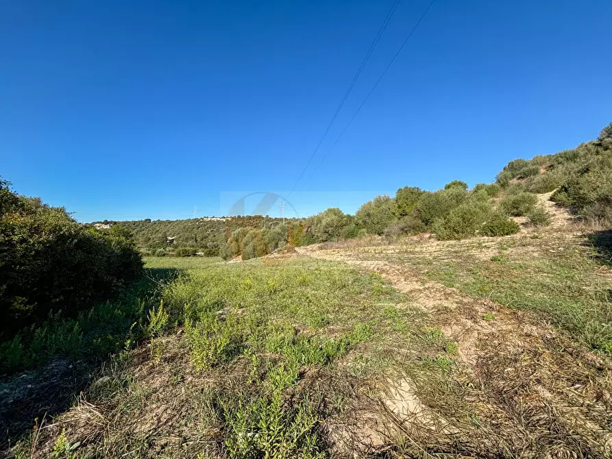 Immagine 19 di Terreno agricolo in vendita  in Monti di Mannu a Sassari