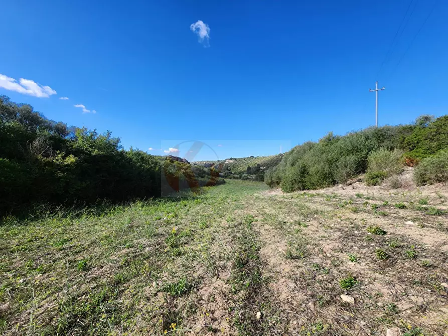 Immagine 20 di Terreno agricolo in vendita  in Monti di Mannu a Sassari
