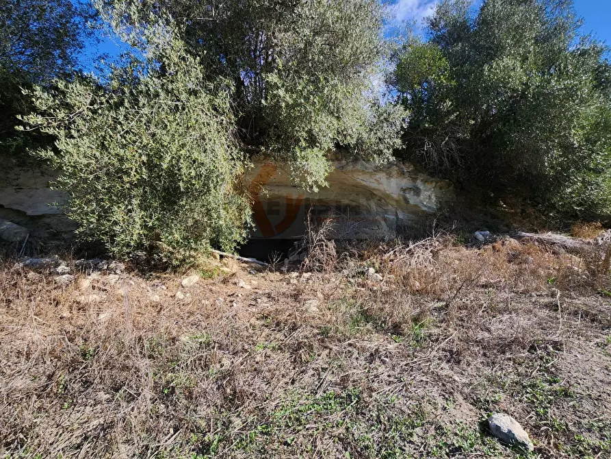 Immagine 21 di Terreno agricolo in vendita  in Monti di Mannu a Sassari