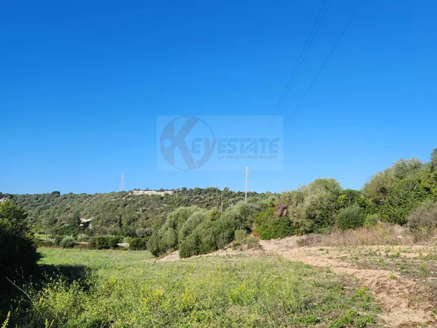 Immagine 22 di Terreno agricolo in vendita  in Monti di Mannu a Sassari