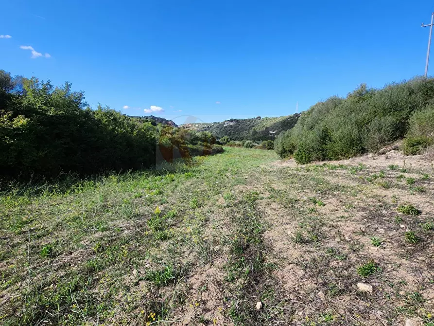 Immagine 23 di Terreno agricolo in vendita  in Monti di Mannu a Sassari