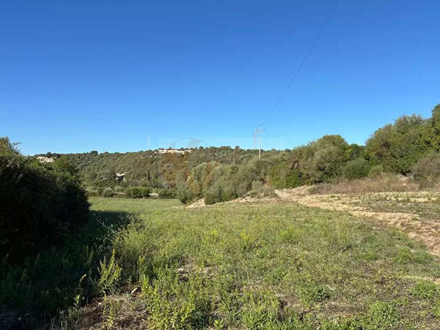 Immagine 24 di Terreno agricolo in vendita  in Monti di Mannu a Sassari