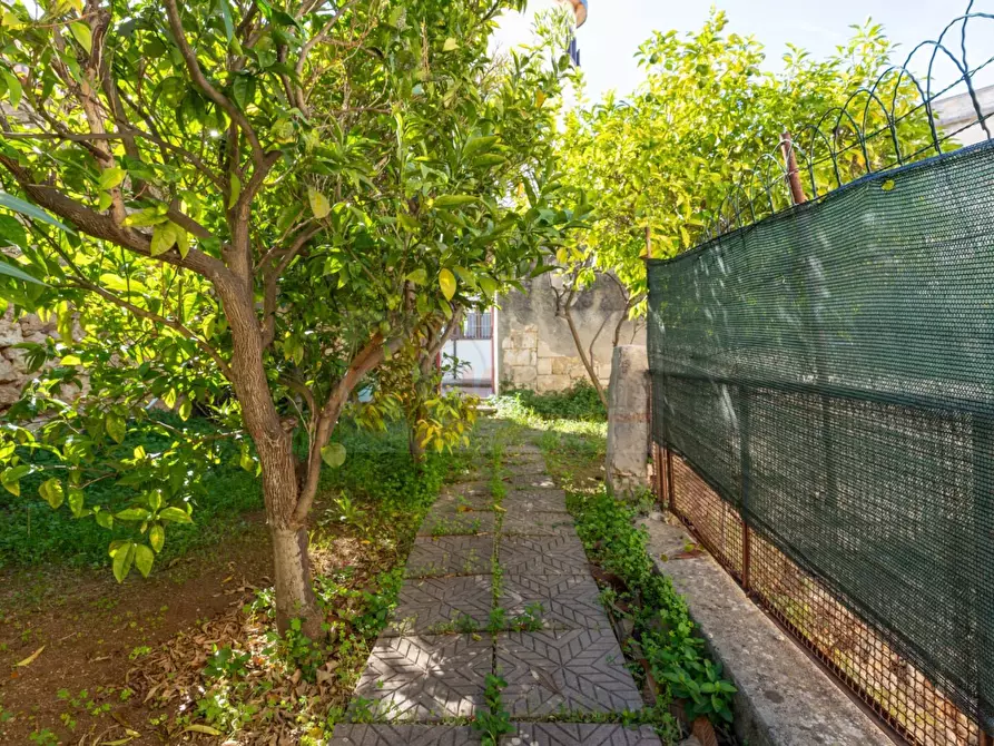 Immagine 43 di Appartamento in vendita  in via Monsignor Marongiu 17 a Sassari