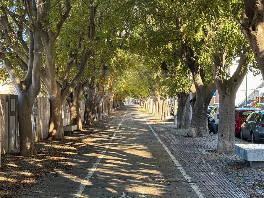 Immagine 26 di Appartamento in vendita  in cordo francesco vico 17 a Sassari