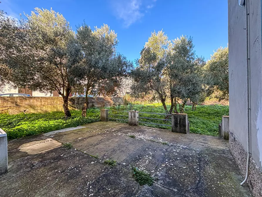 Immagine 24 di Villa in vendita  in via themelly 2 a Banari