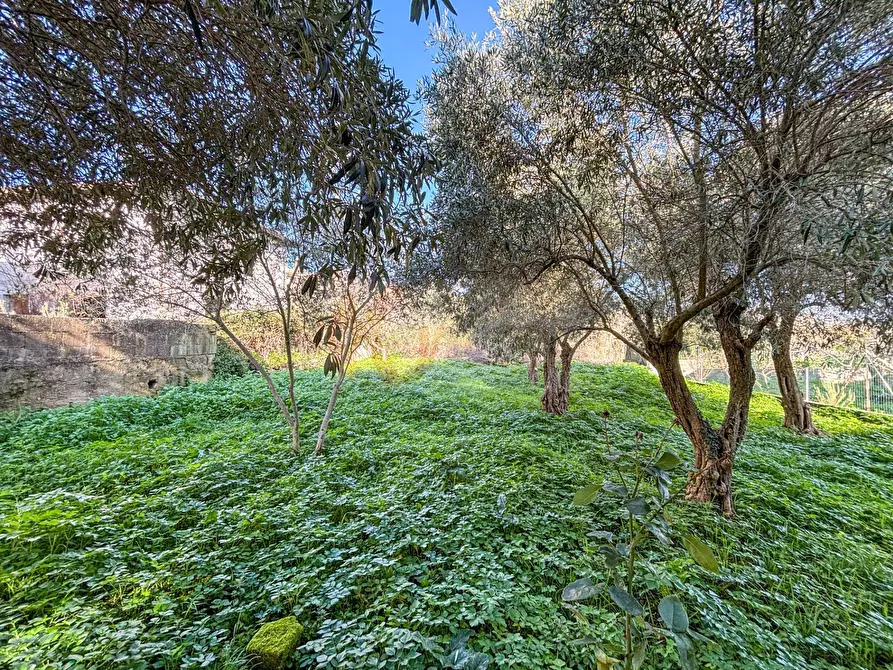 Immagine 27 di Villa in vendita  in via themelly 2 a Banari