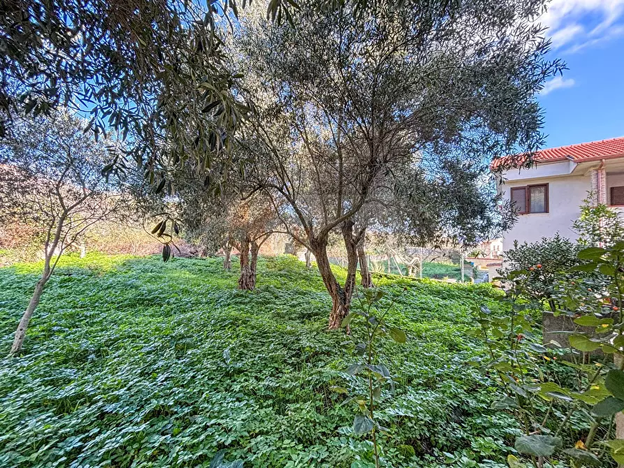 Immagine 28 di Villa in vendita  in via themelly 2 a Banari