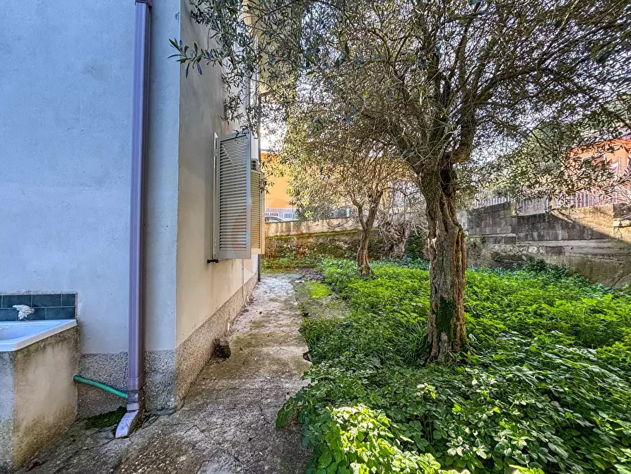 Immagine 32 di Villa in vendita  in via themelly 2 a Banari