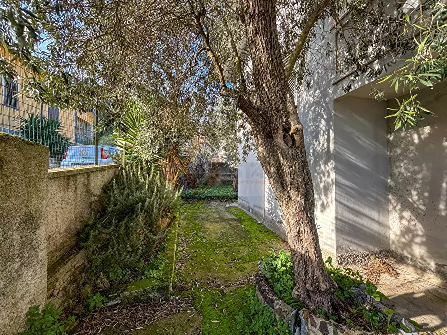 Immagine 33 di Villa in vendita  in via themelly 2 a Banari