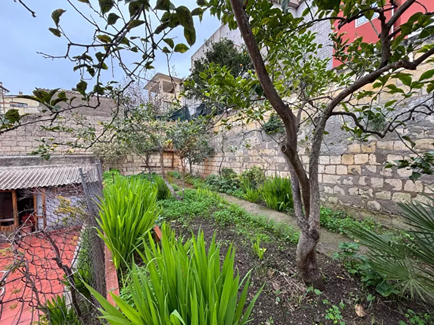 Immagine 29 di Appartamento in vendita  in Via Segni 4 a Sennori