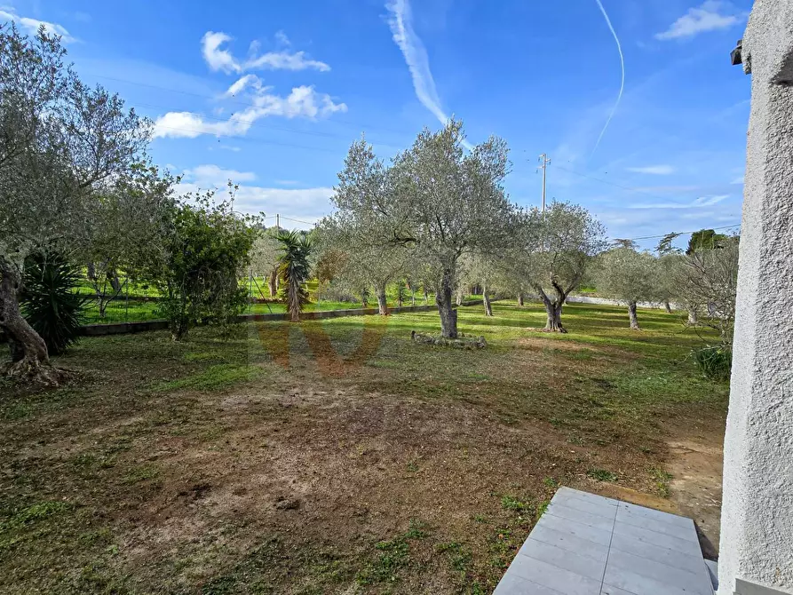 Immagine 38 di Villa in vendita  in Strada vicinale serra di lioni 30 a Sassari