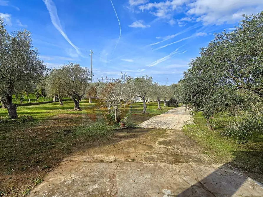 Immagine 39 di Villa in vendita  in Strada vicinale serra di lioni 30 a Sassari