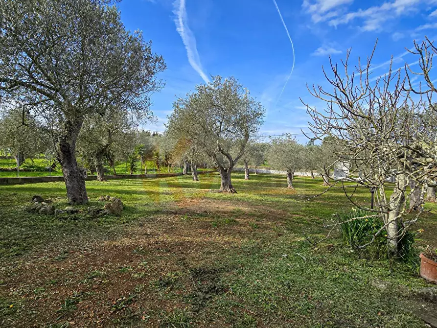 Immagine 42 di Villa in vendita  in Strada vicinale serra di lioni 30 a Sassari