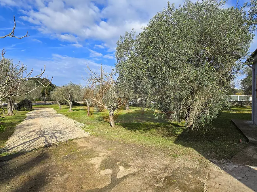 Immagine 43 di Villa in vendita  in Strada vicinale serra di lioni 30 a Sassari