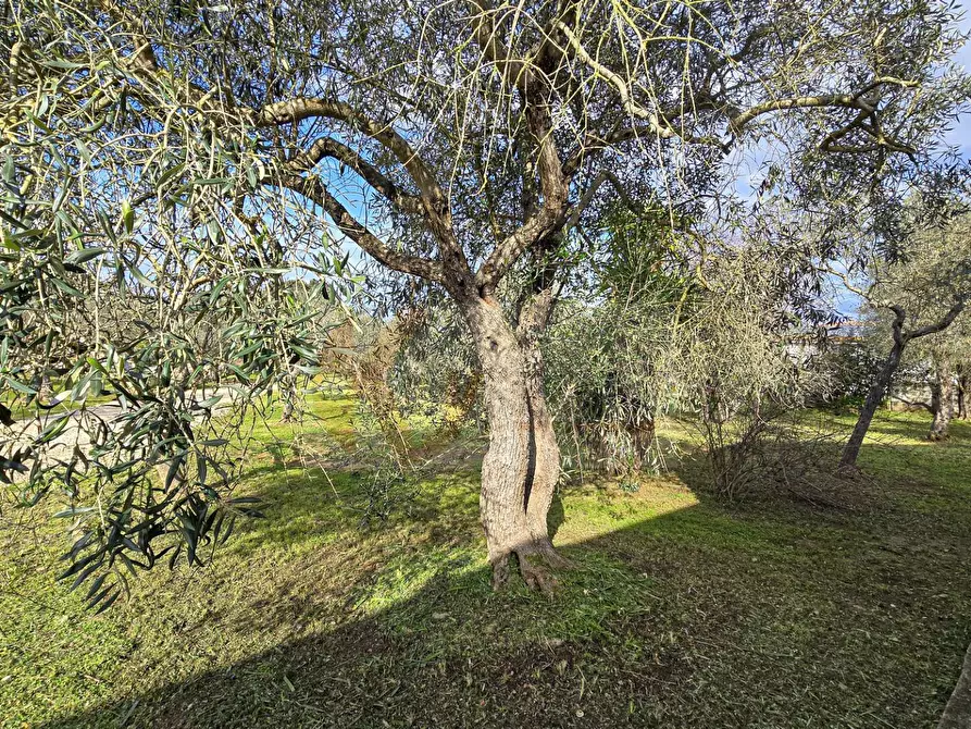 Immagine 44 di Villa in vendita  in Strada vicinale serra di lioni 30 a Sassari