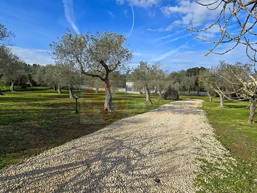 Immagine 47 di Villa in vendita  in Strada vicinale serra di lioni 30 a Sassari