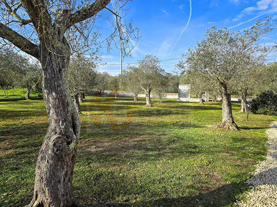 Immagine 48 di Villa in vendita  in Strada vicinale serra di lioni 30 a Sassari