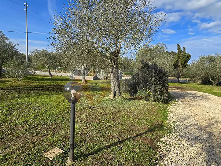 Immagine 51 di Villa in vendita  in Strada vicinale serra di lioni 30 a Sassari
