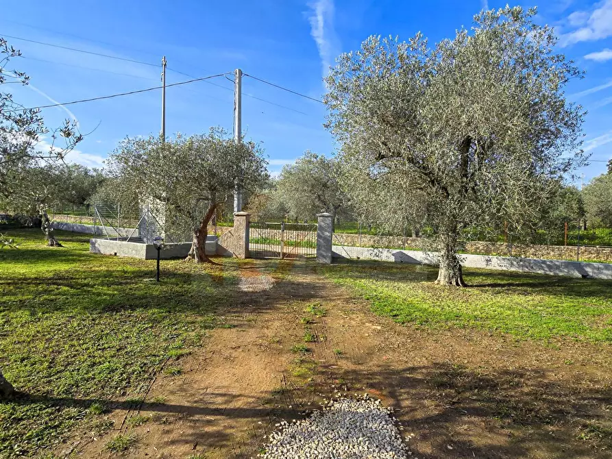 Immagine 53 di Villa in vendita  in Strada vicinale serra di lioni 30 a Sassari