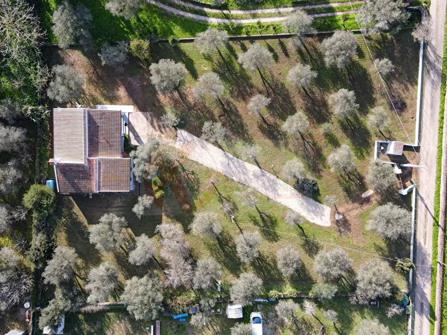 Immagine 56 di Villa in vendita  in Strada vicinale serra di lioni 30 a Sassari