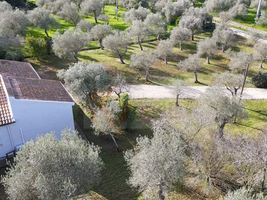 Immagine 59 di Villa in vendita  in Strada vicinale serra di lioni 30 a Sassari