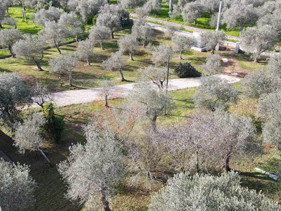 Immagine 60 di Villa in vendita  in Strada vicinale serra di lioni 30 a Sassari