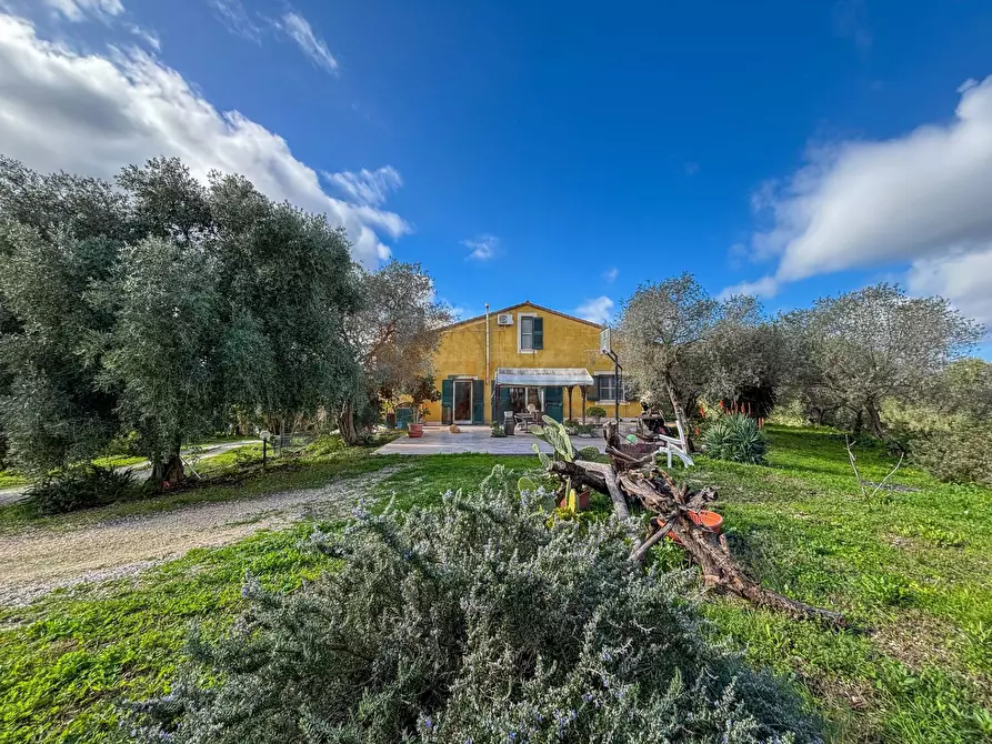 Immagine 16 di Villa in vendita  in Strada Vicinale Mascarello 16 a Sassari