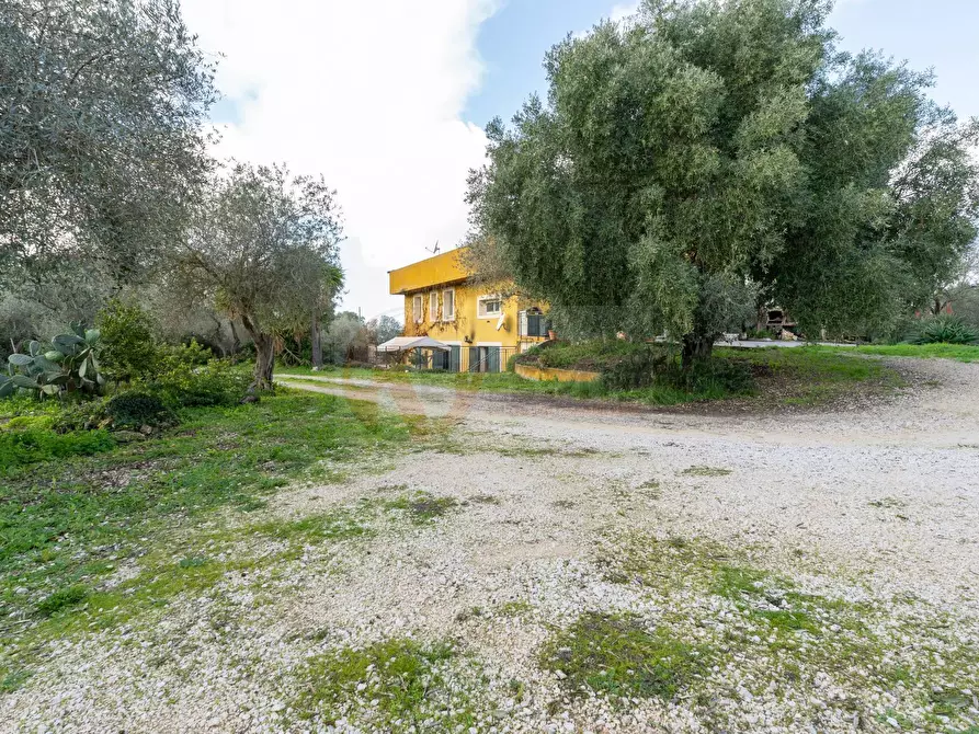 Immagine 19 di Villa in vendita  in Strada Vicinale Mascarello 16 a Sassari