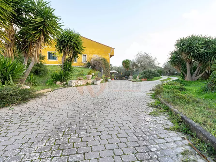 Immagine 20 di Villa in vendita  in Strada Vicinale Mascarello 16 a Sassari