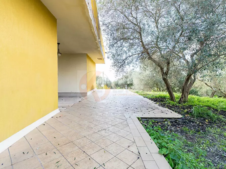 Immagine 21 di Villa in vendita  in Strada Vicinale Mascarello 16 a Sassari