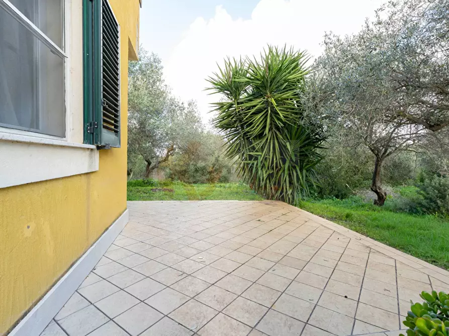 Immagine 23 di Villa in vendita  in Strada Vicinale Mascarello 16 a Sassari