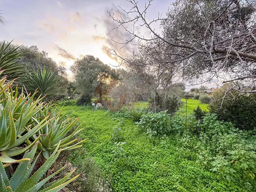 Immagine 37 di Villa in vendita  in Strada Vicinale Monte Oro 50 B a Sassari