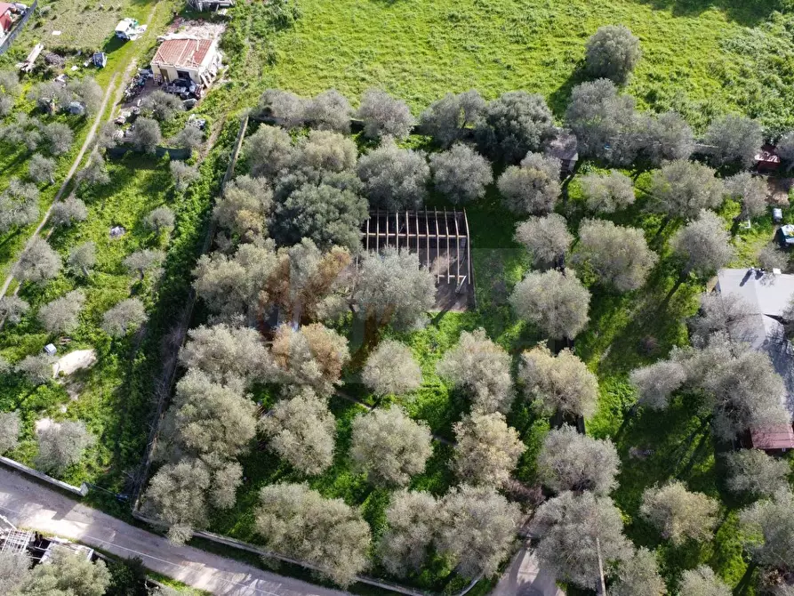 Immagine 2 di Terreno agricolo in vendita  in strada vicinale santu tettaru a Sassari