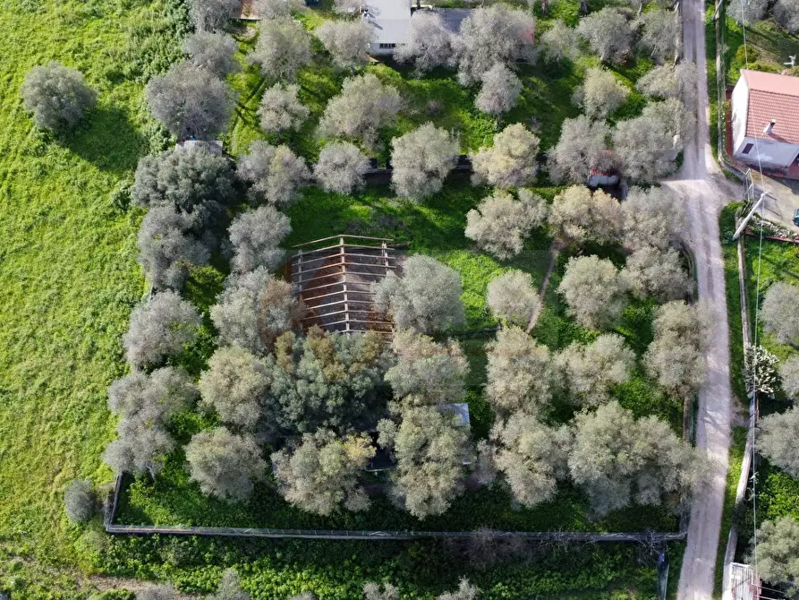 Immagine 10 di Terreno agricolo in vendita  in strada vicinale santu tettaru a Sassari
