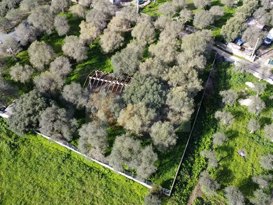 Immagine 12 di Terreno agricolo in vendita  in strada vicinale santu tettaru a Sassari