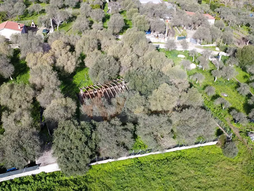 Immagine 13 di Terreno agricolo in vendita  in strada vicinale santu tettaru a Sassari