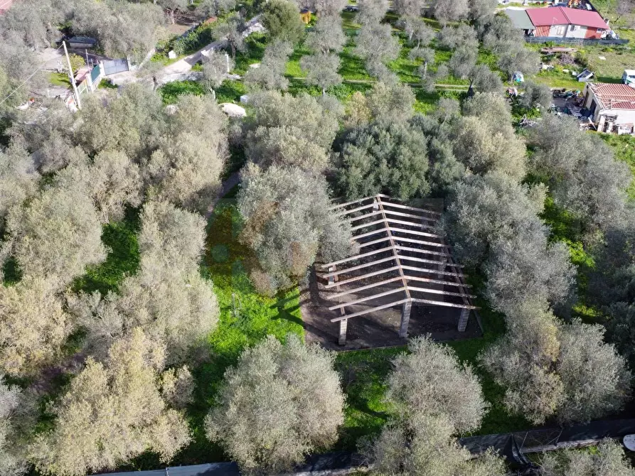 Immagine 14 di Terreno agricolo in vendita  in strada vicinale santu tettaru a Sassari