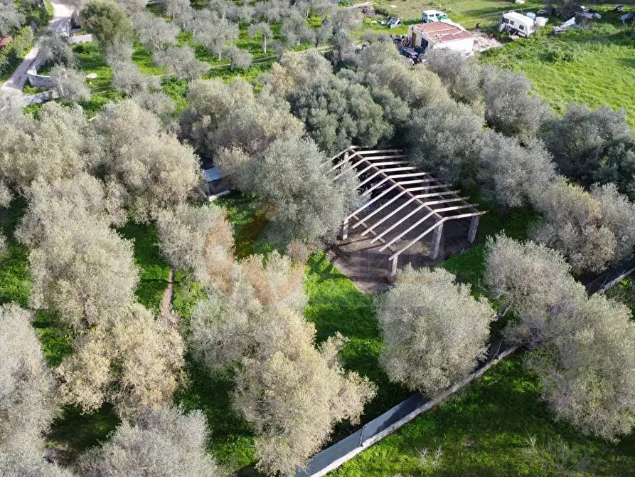 Immagine 1 di Terreno agricolo in vendita  in strada vicinale santu tettaru a Sassari
