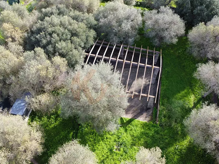 Immagine 9 di Terreno agricolo in vendita  in strada vicinale santu tettaru a Sassari