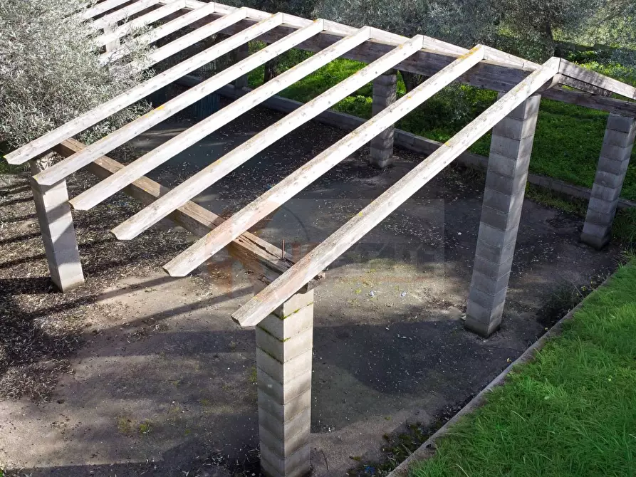 Immagine 3 di Terreno agricolo in vendita  in strada vicinale santu tettaru a Sassari