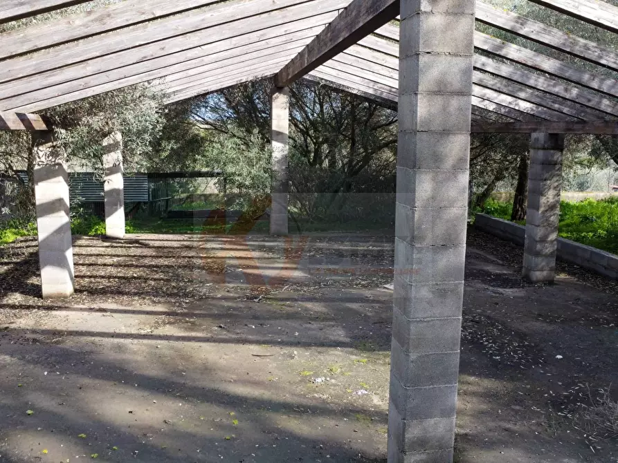 Immagine 8 di Terreno agricolo in vendita  in strada vicinale santu tettaru a Sassari