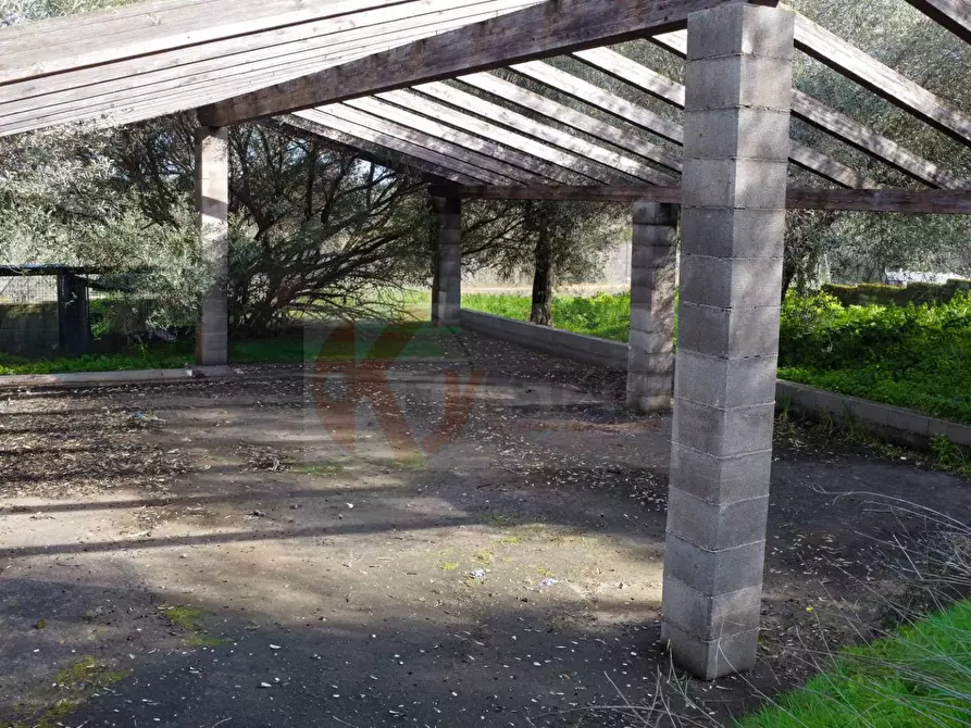 Immagine 7 di Terreno agricolo in vendita  in strada vicinale santu tettaru a Sassari