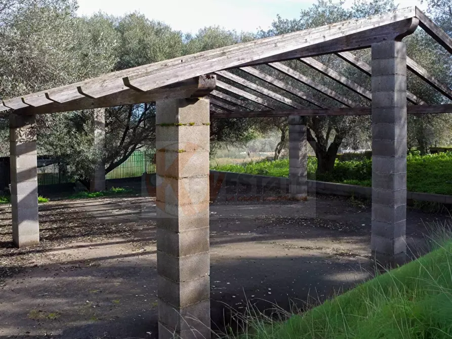 Immagine 6 di Terreno agricolo in vendita  in strada vicinale santu tettaru a Sassari