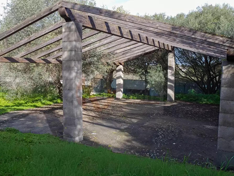 Immagine 5 di Terreno agricolo in vendita  in strada vicinale santu tettaru a Sassari