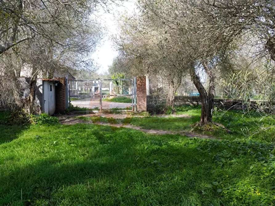 Immagine 16 di Terreno agricolo in vendita  in strada vicinale santu tettaru a Sassari